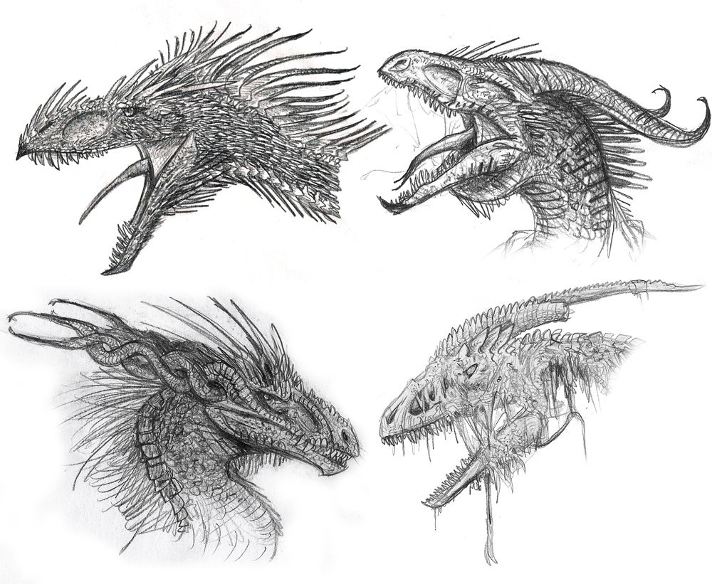 Dragon Face Drawing Amazing Sketch