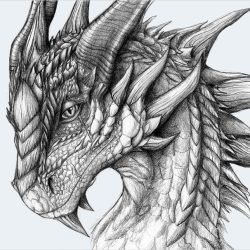 Dragon Face Drawing Artistic Sketching