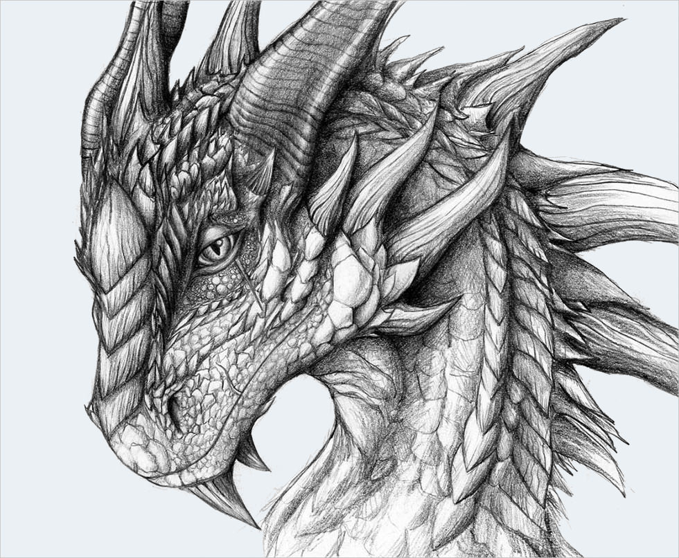 Dragon Face Drawing Artistic Sketching