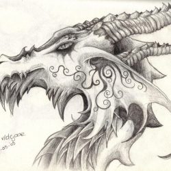 Dragon Face Drawing Detailed Sketch