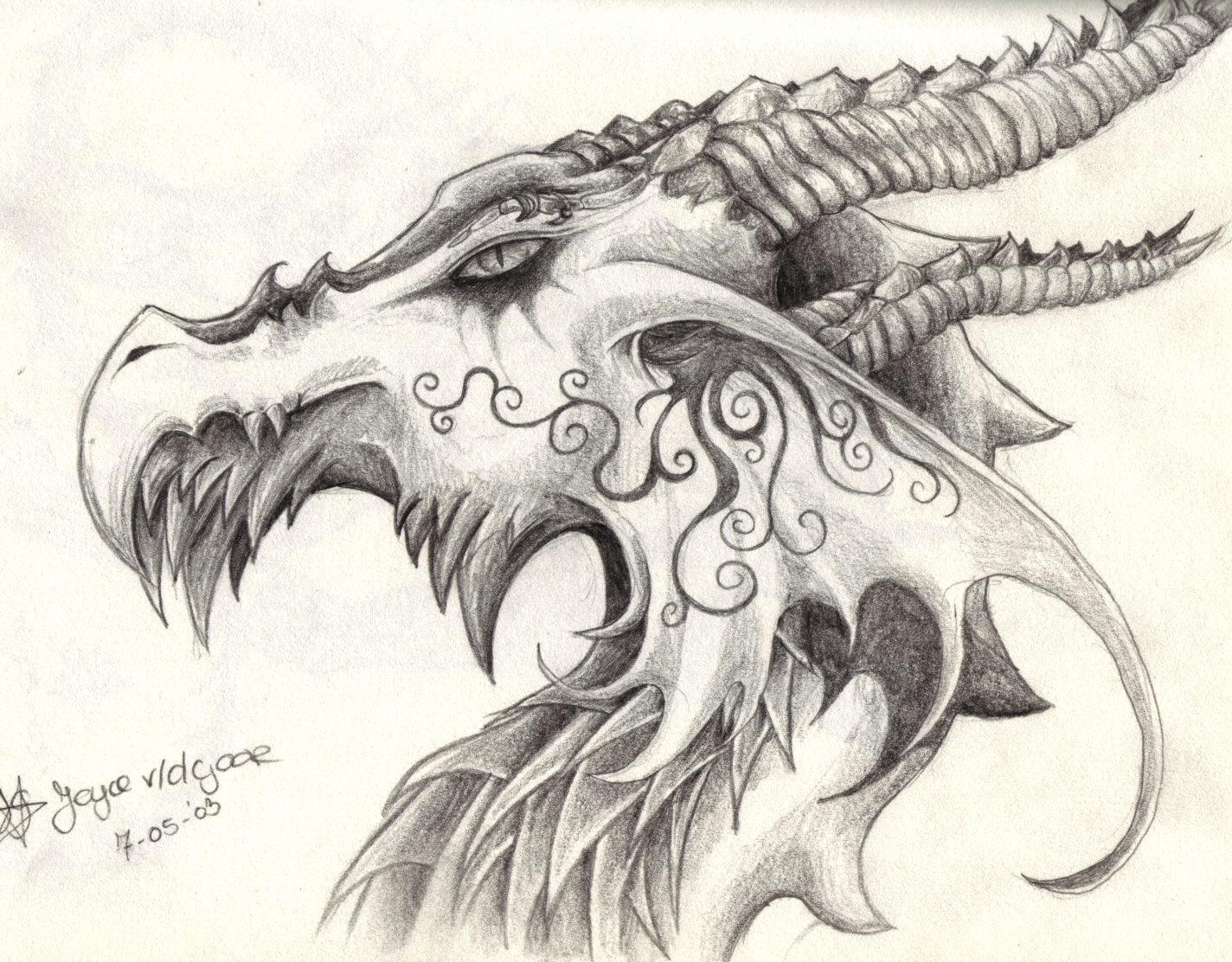 Dragon Face Drawing Detailed Sketch