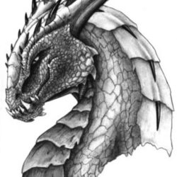 Dragon Face Drawing Fine Art