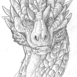 Dragon Face Drawing Intricate Artwork