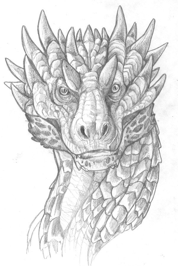 Dragon Face Drawing Intricate Artwork