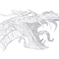 Dragon Face Drawing Photo