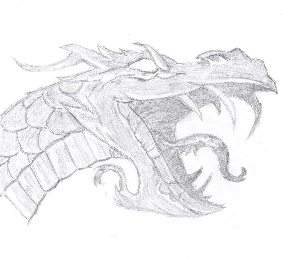 Dragon Face Drawing Photo