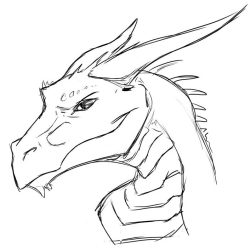 Dragon Face Drawing Picture