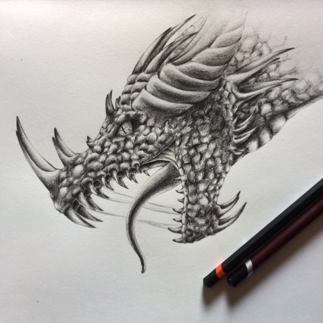 Dragon Face Drawing