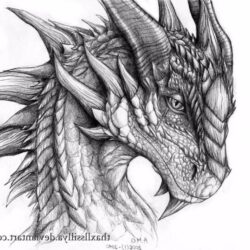 Dragon Head Drawing