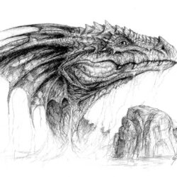 Dragon Head Drawing Art