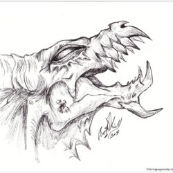 Dragon Head Drawing Artistic Sketching