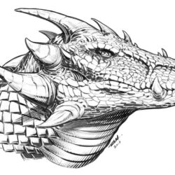 Dragon Head Drawing Creative Style