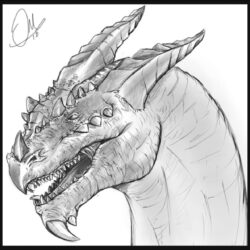 Dragon Head Drawing Hand Drawn