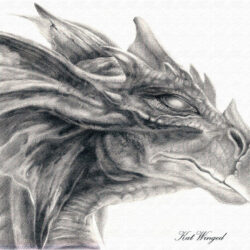 Dragon Head Drawing Hand Drawn Sketch