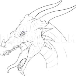 Dragon Head Drawing Image