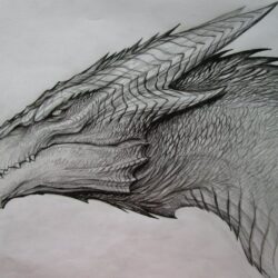 Dragon Head Drawing Intricate Artwork