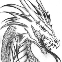 Dragon Head Drawing Picture