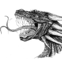 Dragon Head Drawing Realistic Sketch