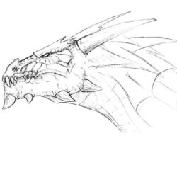 Dragon Head Drawing Sketch