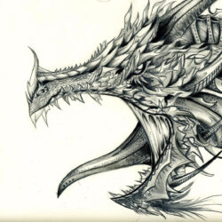 Dragon Head Drawing Stunning Sketch