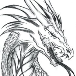 Dragon Head Drawing Unique Art