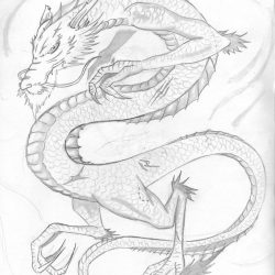 Dragon Kanji Drawing Artistic Sketching