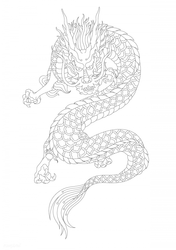 Dragon Kanji Drawing Stunning Sketch