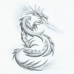 Dragon Tattoo Drawing Artistic Sketching