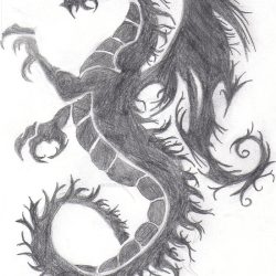 Dragon Tattoo Drawing Fine Art