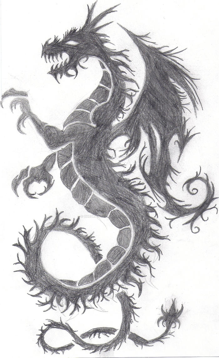 Dragon Tattoo Drawing Fine Art