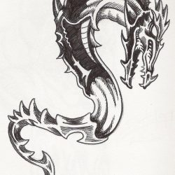 Dragon Tattoo Drawing Hand drawn