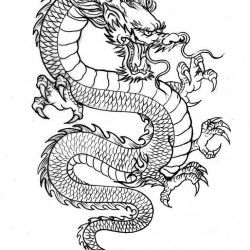 Dragon Tattoo Drawing Image