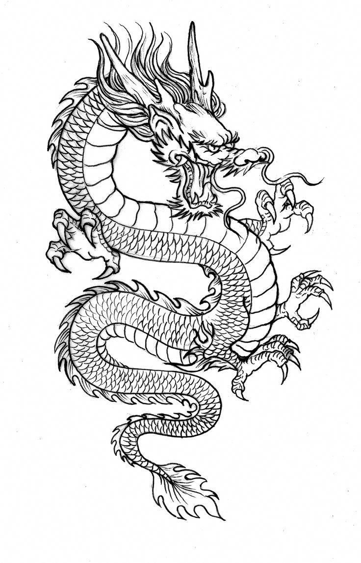 Dragon Tattoo Drawing Image