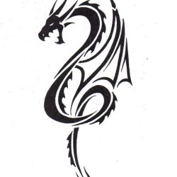 Dragon Tattoo Drawing Unique Art