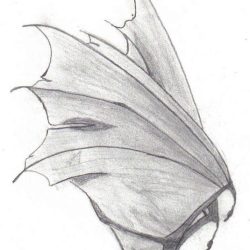 Dragon Wings Drawing