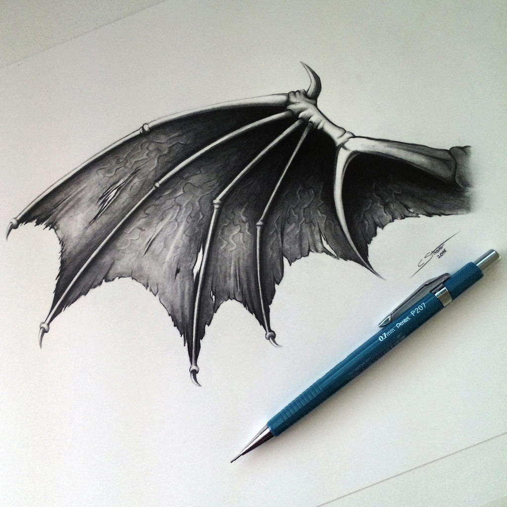 Dragon Wings Drawing Creative Style