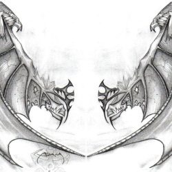 Dragon Wings Drawing Detailed Sketch