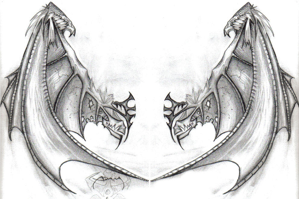 Dragon Wings Drawing Detailed Sketch