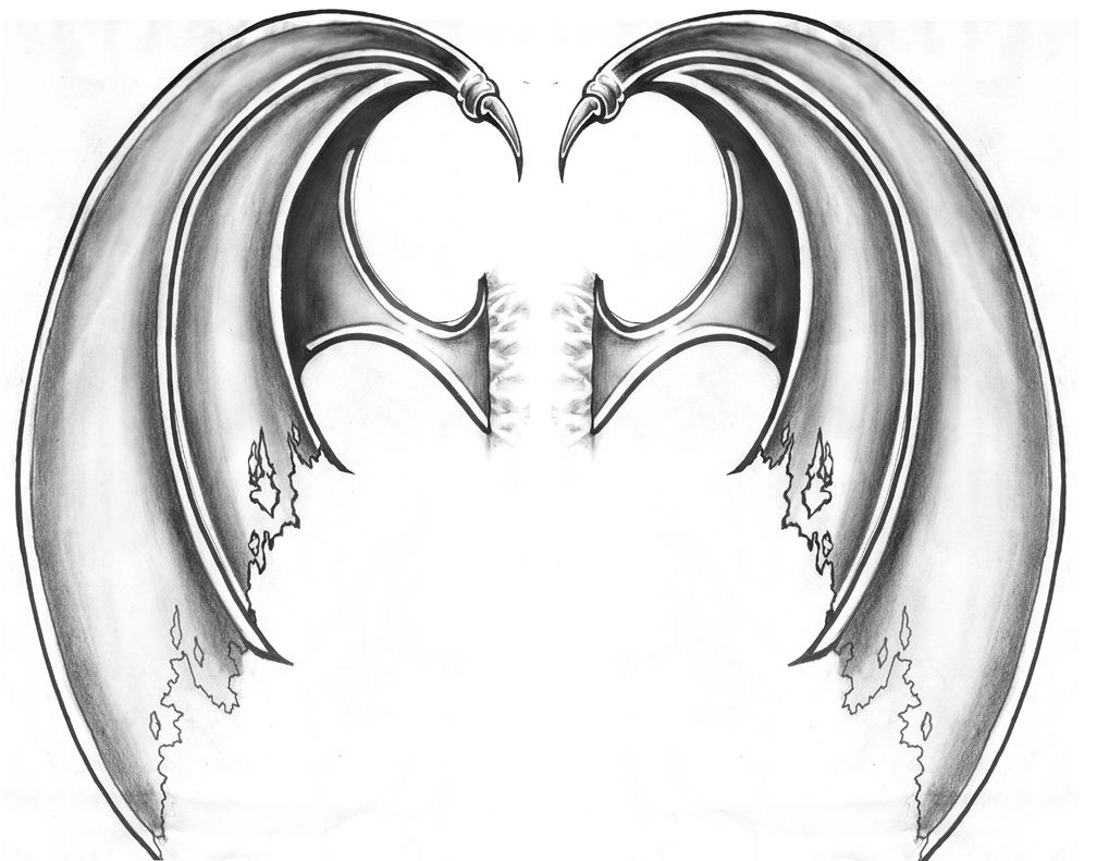 Dragon Wings Drawing Fine Art