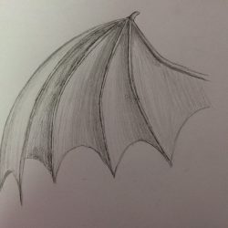 Dragon Wings Drawing Hand drawn Sketch