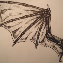 Dragon Wings Drawing Modern Sketch