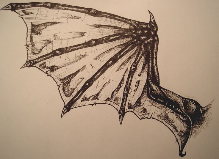 Dragon Wings Drawing Modern Sketch