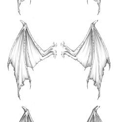 Dragon Wings Drawing Picture