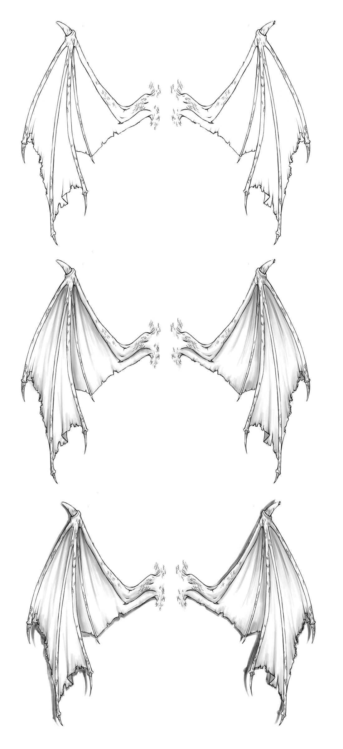 Dragon Wings Drawing Picture