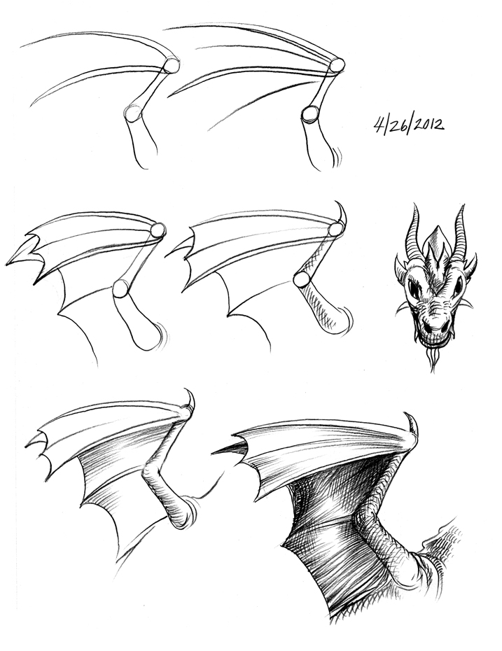 Dragon Wings Drawing Stunning Sketch