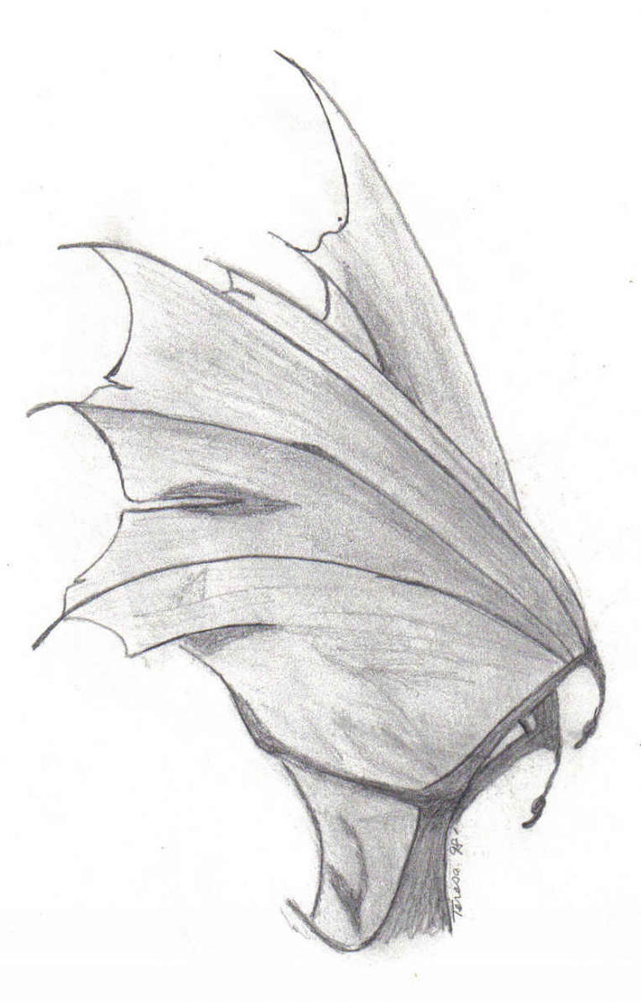 Dragon Wings Drawing