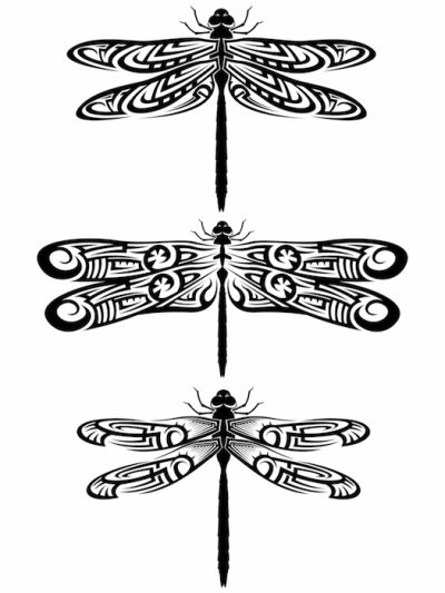 Dragonfly, Wings, Insect, Flight, Nature Drawing