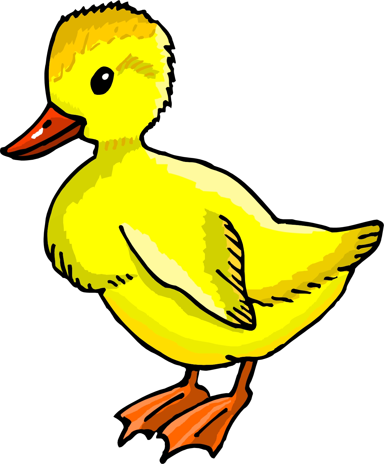 Duck Cartoon Drawing Realistic Sketch