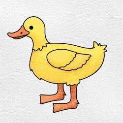 Duck Drawing