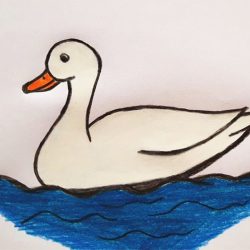 Duck Drawing Art